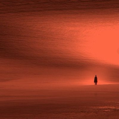 guest41963's profile picture. 