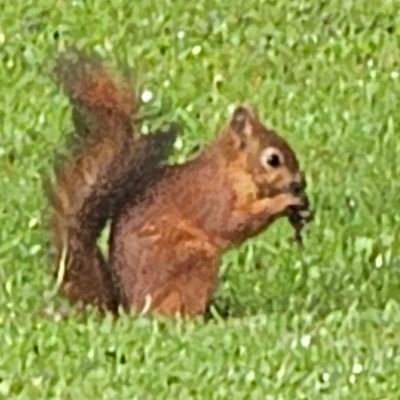 invictus123123's profile picture. 