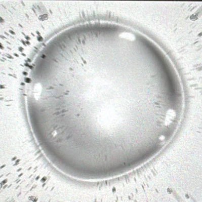 heruchang's profile picture. day dreamer