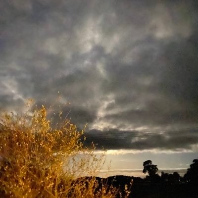 jo_malyon's profile picture. 