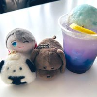 もちぎょ (@mochigyo_yoi) 's Twitter Profile