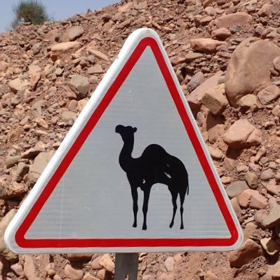 johnnywoodward's profile picture. 8N7C755M