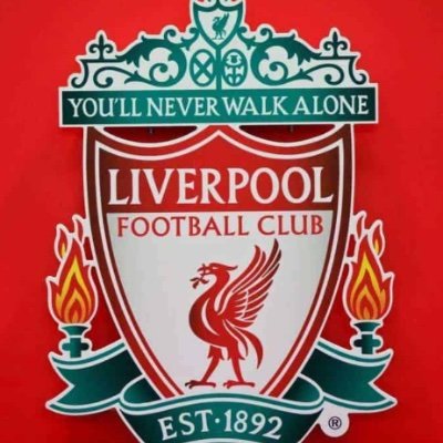 fpl_angelo's profile picture. 