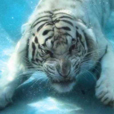 2faded5u's profile picture. $ $