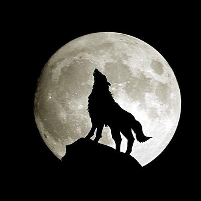 ysmfd0cz5y1's profile picture. الهلال جزءٌ منّي يؤلمني ان لم يكن بخير