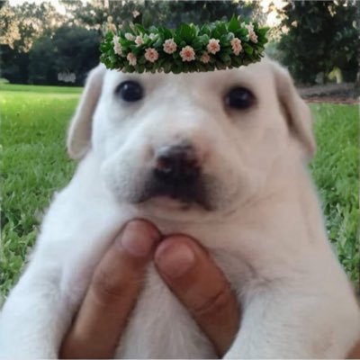 djssssz's profile picture. 