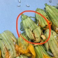 Abla Sal (@ablasaldiyim) Twitter profile photo