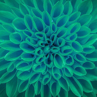 solid_auter's profile picture. ~ Debugging databases by day 🐞🖥 , arranging bouquets by night 🌸💐 :3 | Junior Data Engineer 🗂 & Data Science Enthusiast 🤖
Kyiv, UA 🇺🇦