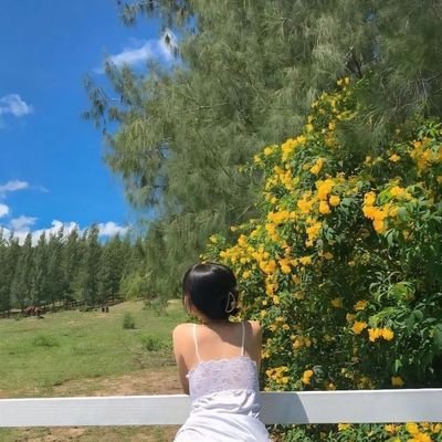 khimphthr19718's profile picture. เเพ้เสียงในหัวตัวเอง