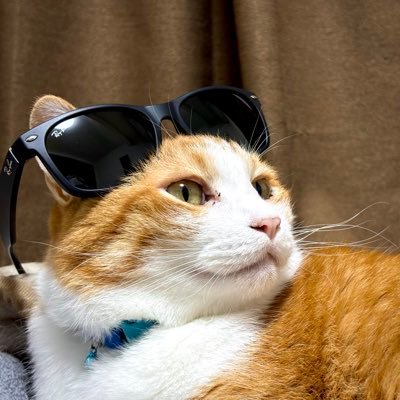 しょさんのプロフィール画像