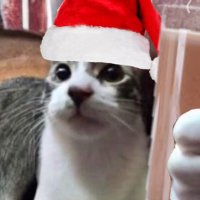 wtj scout (@scoutfn__) 's Twitter Profile