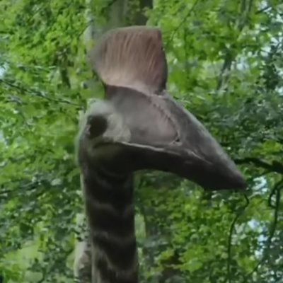 FlyLashさんのプロフィール画像