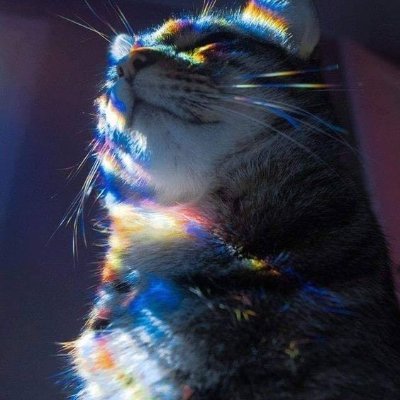 MaxMartin54371's profile picture. 