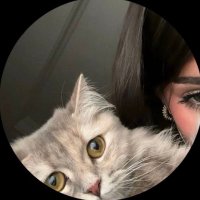 Silver | سلڤر (@silv1ra) 's Twitter Profile