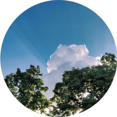 HolderJose53006's profile picture. 