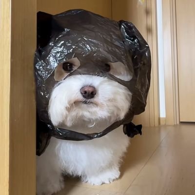 ˗ˏˋ ♡ MB ♡ ˎˊ˗