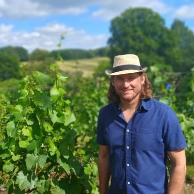 Not all those who wander are lost | @visitsurrey | @surreyvineyards