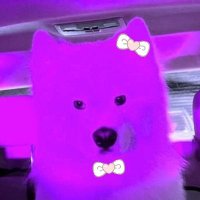 คุ้มแก้ว (@koomkaew_pku) 's Twitter Profile