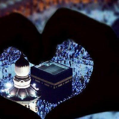 GueddariSa55239's profile picture. 