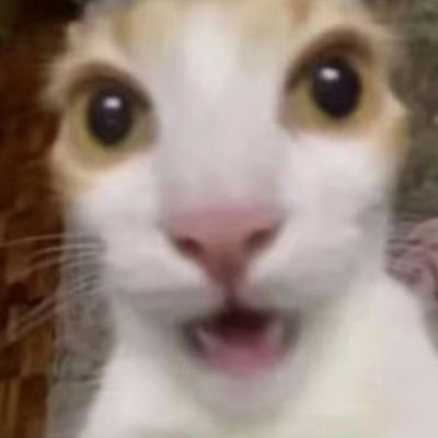 Maxhyerin's profile picture. wat