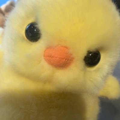 7wjdxorl's profile picture. 〰️