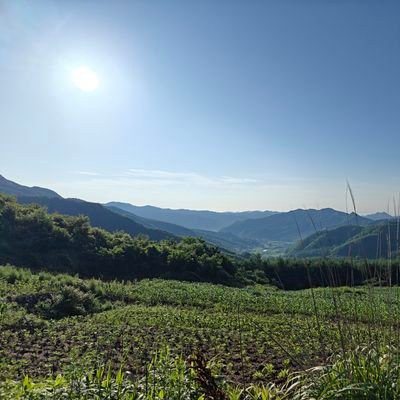 lntngyun348466's profile picture. 
