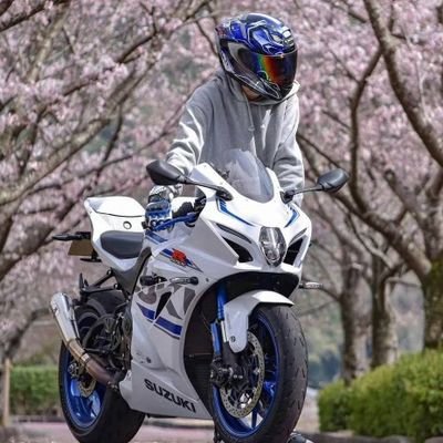 Bane9527's profile picture. 不应举江湖状元，不思凡风月神仙。