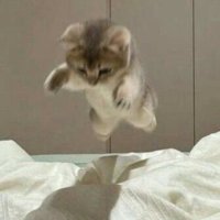 π·π΄π
π² (@hesc73) 's Twitter Profile