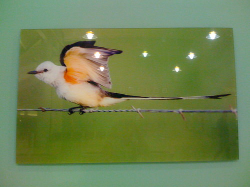 mtsilver's profile picture. an athletic, outgoing mom/wife