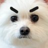 editor_walwal's profile picture. 월왕뢍왈왈왈왈왕컹엉얼왛어ㅏ왈왘ㅇ왈!
editor.jieunkim@gmail.com