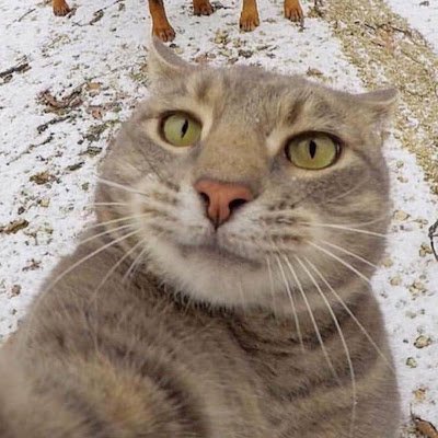 Zoro_exe327's profile picture. 