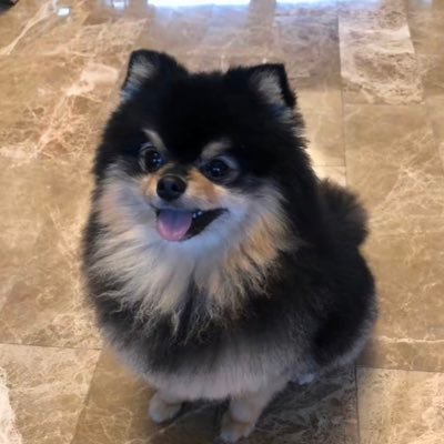 YanQiN_1122's profile picture. 