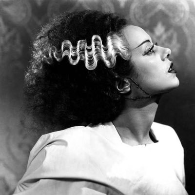 rosehavenrogues's profile picture. sydney - 25 - she/they. bedraggled forest creature and internet hermit. pirates fan. saw ghost 7/18