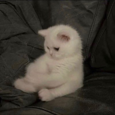 wlosrk's profile picture. 