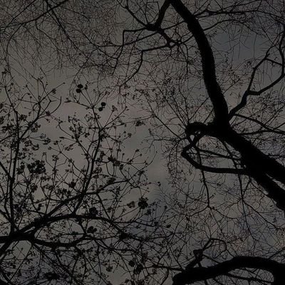 سبحان الله وبحمده . 🌼