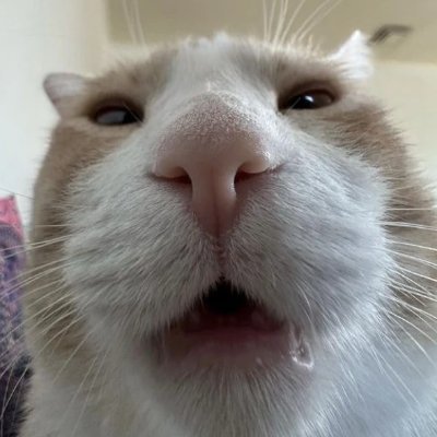 RRLUCKY Profile