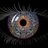 TIMTEA6506148b2's profile image