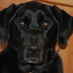 Richard B. Smith (@rbsduck) Twitter profile photo