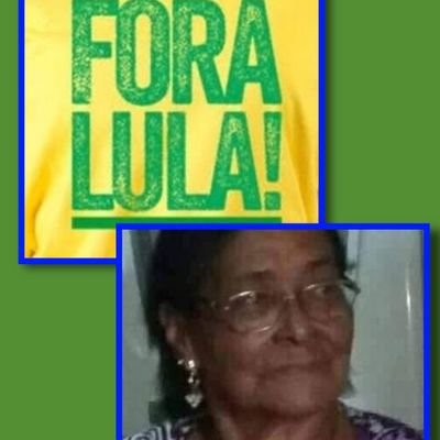 AmBolsonaro22 Profile Picture