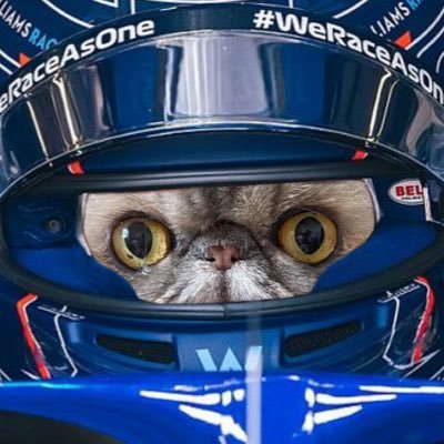 catsontrack's profile picture. i’m like oscar piastri if he drove a honda civic | she/her 24 🏎️ + ⛸️ | #albonista #yukination #piastrihive #clubchloe #glennhead #wakababe #stellatobot