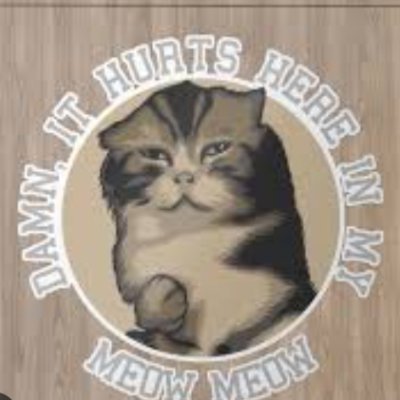 FredCastilloDa1's profile picture. Antes del huracán