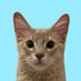 teto (@bokuhateto) Twitter profile photo teto (@bokuhateto) Twitter profile photo