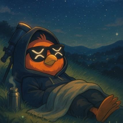 Bello729508's profile picture. 