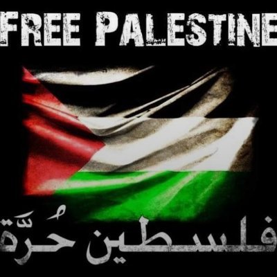 cnourc's profile picture. وعقدنا العزم أن تحيا الجزائر.