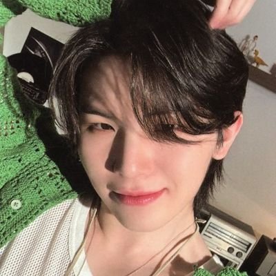 A Woozidan. Writes for SVT, but mostly SoonHoon. Also upload AUs in Tikt0k @write4svtau
Au List in my pinned post