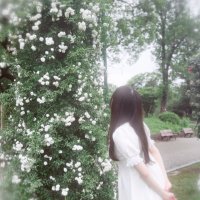ちぃる⭐️ちゅーどる🐩 (@chixiru_usa) 's Twitter Profile