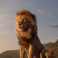 Mufasa1 (@lionone111) 's Twitter Profile Photo Mufasa1 (@lionone111) 's Twitter Profile Photo