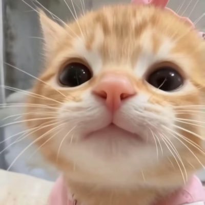 xxxmiawmi's profile picture. 