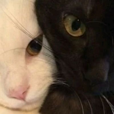 NINiさんのプロフィール画像