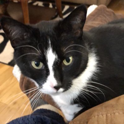 lgreaves51's profile picture. Happily Retired